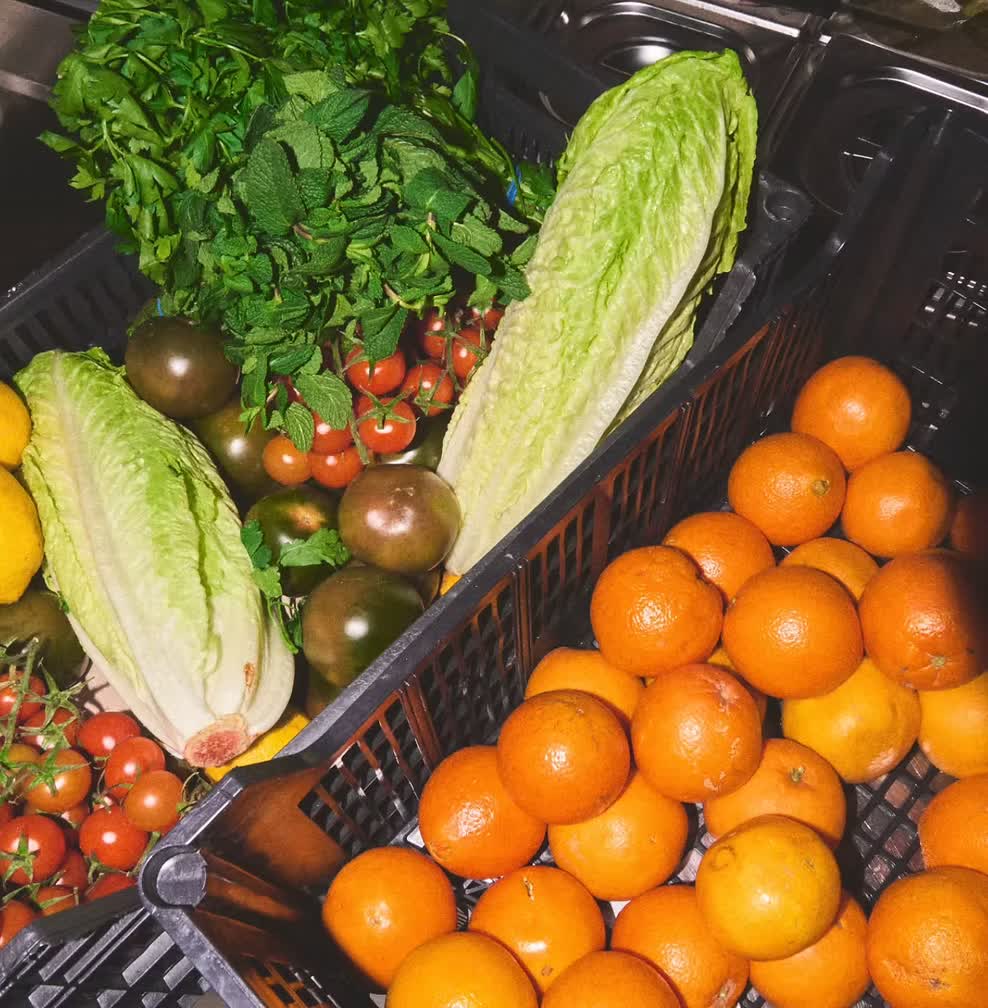 Cajas de verduras y hierbas frescas del día